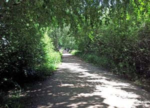 Whitegate Way bike